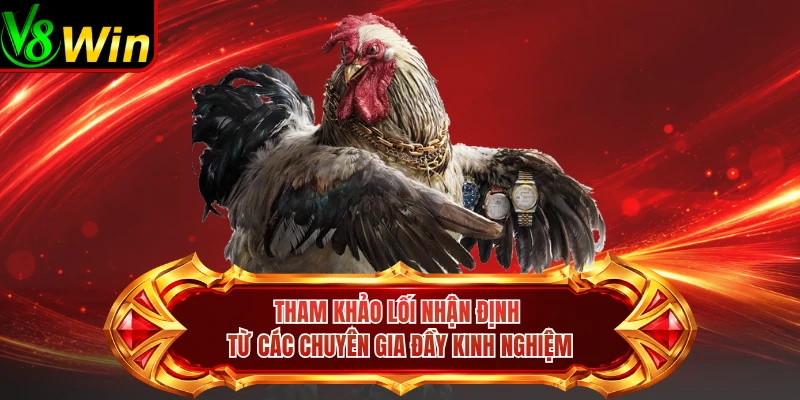 Tham Khảo Lối Nhận Định Từ Các Chuyên Gia Đầy Kinh Nghiệm
